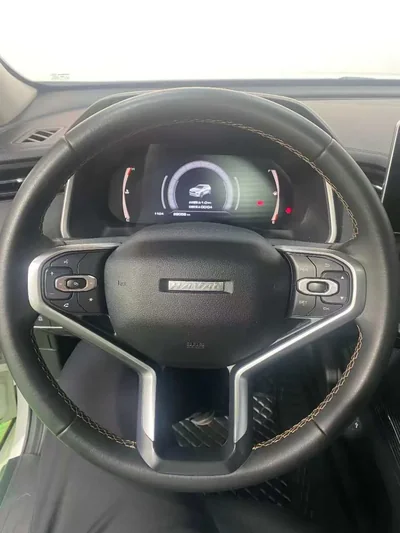 Фото 16 Haval Chitu