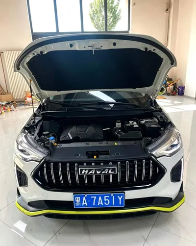 Фото 22 Haval Chitu