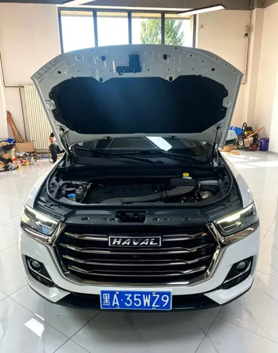 Фото 16 Haval H6
