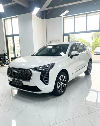 Фото 3 Haval Joolion