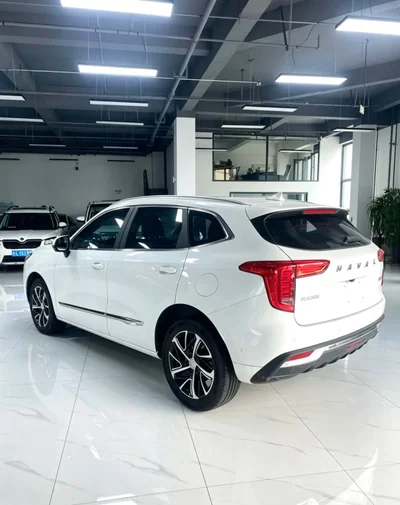 Фото 4 Haval Joolion
