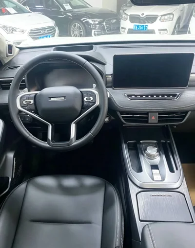 Фото 8 Haval Joolion