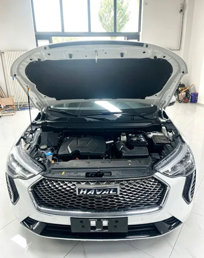 Фото 23 Haval Joolion