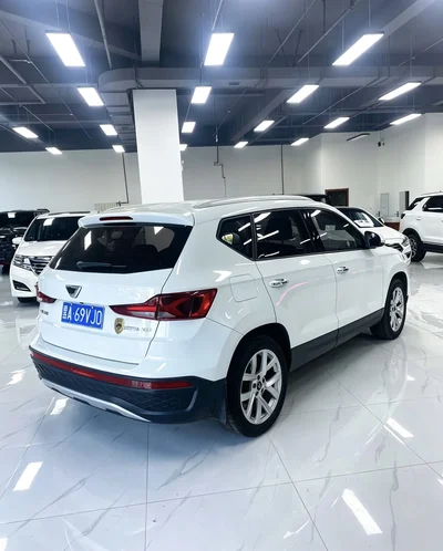 Фото 4 Jetta VS5