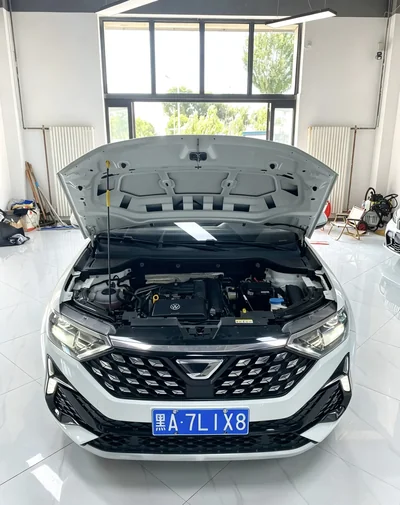 Фото 16 Jetta VS5