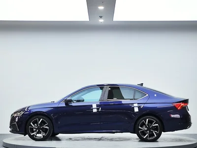 Фото 4 Skoda Octavia Pro