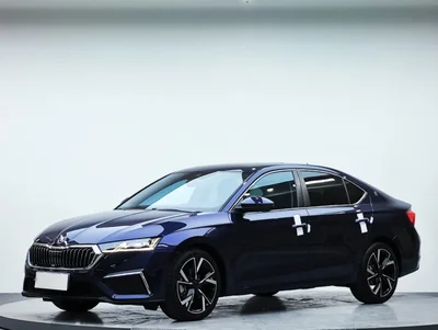 Фото 2 Skoda Octavia Pro