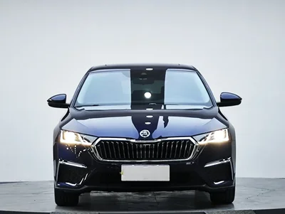 Фото 3 Skoda Octavia Pro