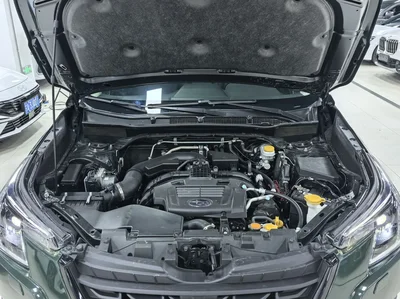 Фото 19 Subaru Forester