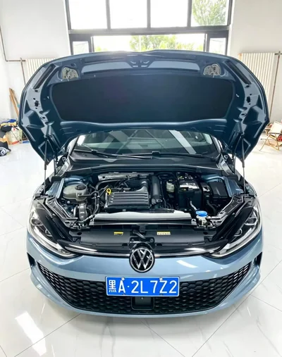 Фото 18 Volkswagen Lamando L