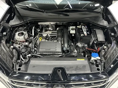 Фото 21 Volkswagen Tayron