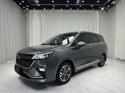 Фото 2 Wuling Jiachen